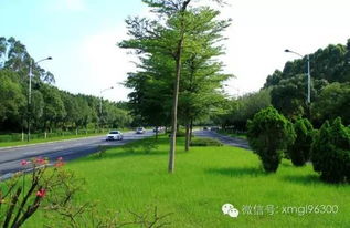 重現魅力的環島路景觀工程